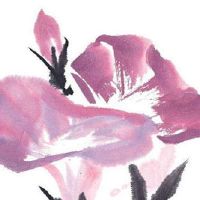 真正上等日柱排名 甲寅日柱是上等命