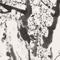 每日特吉生肖:2022年8月9日生肖运势吉凶排行