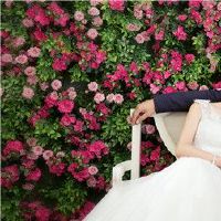 十二个星座婚姻，如何嫁给十二个星座