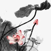 长得很有钱是什么长相 鼻子挺拔端正