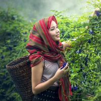 杀手！ 12星女性想到人们