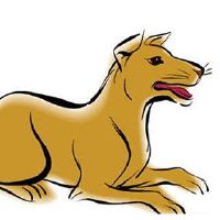 如何表达黄道带狗的情感爱情