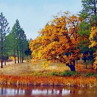 太老了什么意味着什么？