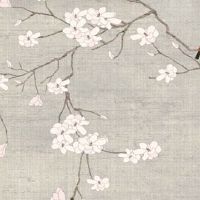 2022年8月15日生肖运势之特吉生肖运程详情