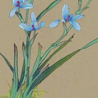 2022年7月属龙人哪天适合搬家 最好最吉利搬家日