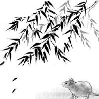 2022年属鼠人是破财水吗 财运稳定注意风水布局