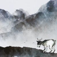 羊女人在5月2022年5月，如何提出良好的感情，祝你好运，无需担心