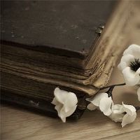 12个星座我真的想说我一年前所说的话。