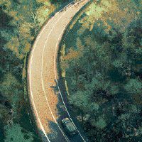 Tiger Lunar，Jiji，老虎，2022年3月