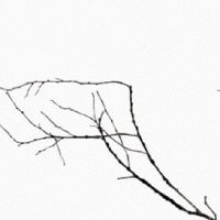 夫妻宫的对宫是什么宫 紫微斗数十二宫位详解