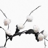 怎样看夫妻宫和配偶宫 配偶宫代表夫妻官