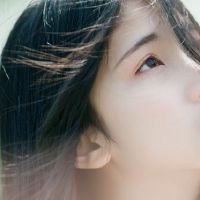 一只大铁公鸡，说这些黄道带