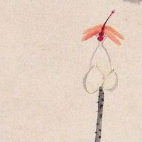 土命手机号选三个五可以吗 八字看旺运招财号码