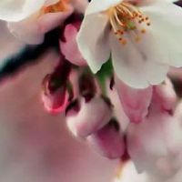 聚财手机号码尾数手机号 有福气的号码数字推荐