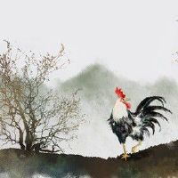 属鸡93年一生婚姻状况男 存在波动不稳定