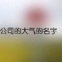 怎样取公司的大气的名字