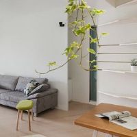 2022年属猪人8月适合装修的吉日 装饰新房好日子