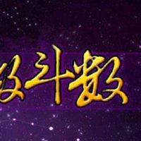 紫微斗数紫府同宫格