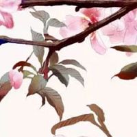 81年属鸡女2023年财运 福运亨通财源广进