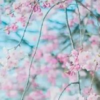 春分的美好寓意和象征 民间特色传统活动