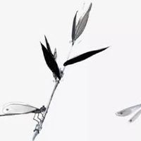 婚姻线感情线交织一起 婚姻线与感情线相连后中断