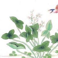 五个元素是一个好男孩名字大全。