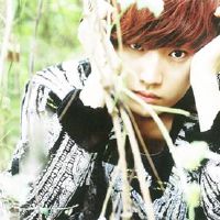 情文中的情感，星座没有草稿