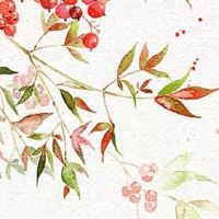 1981年属鸡女一生命运怎么样 经济繁荣生活富足