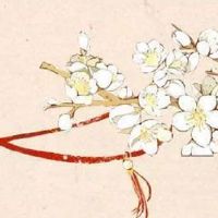 属鸡40岁以后的命运 一帆风顺步步高升