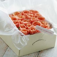 悦12个星座，有些东西你不会出乎意料