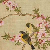 车牌号0开头好不好 繁华圆满的车牌数字