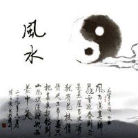 幸运的树放在卧室里