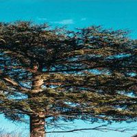 高端内涵的游戏名字