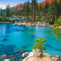 他一年的男人的生命，妇女的生命，八个字符