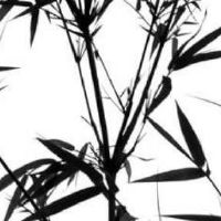 手机尾号110寓意好吗 命理测算选手机号