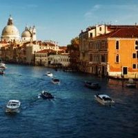 门口有什么样的花风