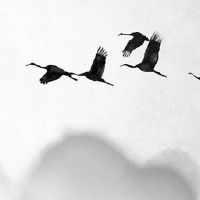 十年大运冲夫妻宫一定有灾吗 夫妻宫逢冲关系不稳定