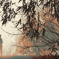 我会害怕在线测试中失去你。