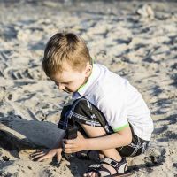 属猪五行缺木的男孩名字