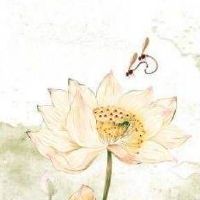 手机尾号最吉利的数字 最新版好运连连数理