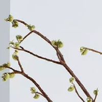 2022年4月几号出生的宝宝好 最好的生子黄道吉日查询