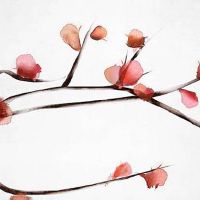 男女八字夫妻宫相同 两个八字不合学会忍让