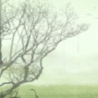 谷雨三候分别是哪三候 谷雨吃什么传统食物