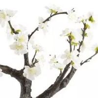 2022年6月27日五行看穿衣,今日穿衣幸运色盘点