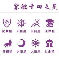 紫薇命盘兄弟宫在辰宫是什么意思？