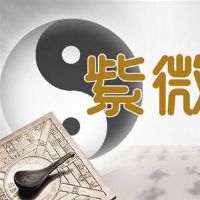 紫薇命盘中禄存星的运势怎样？