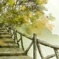 木头2022财富和财富是什么b