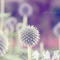 qq家族名字格式大全