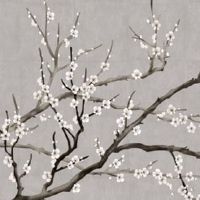 为什么断眉是富贵之相 男生断眉财运亨通