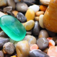 你能带回家吗（山中的石头可以带回家）